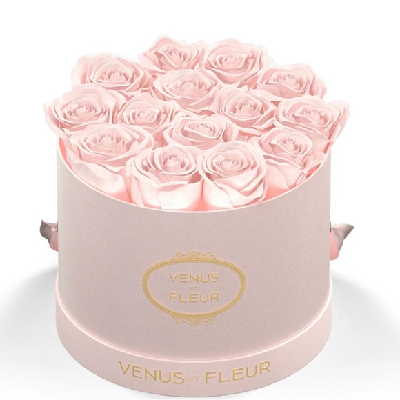 Venus Et Fleur Blush Roses - Small Blush Round Box - Picture 1 of 2
